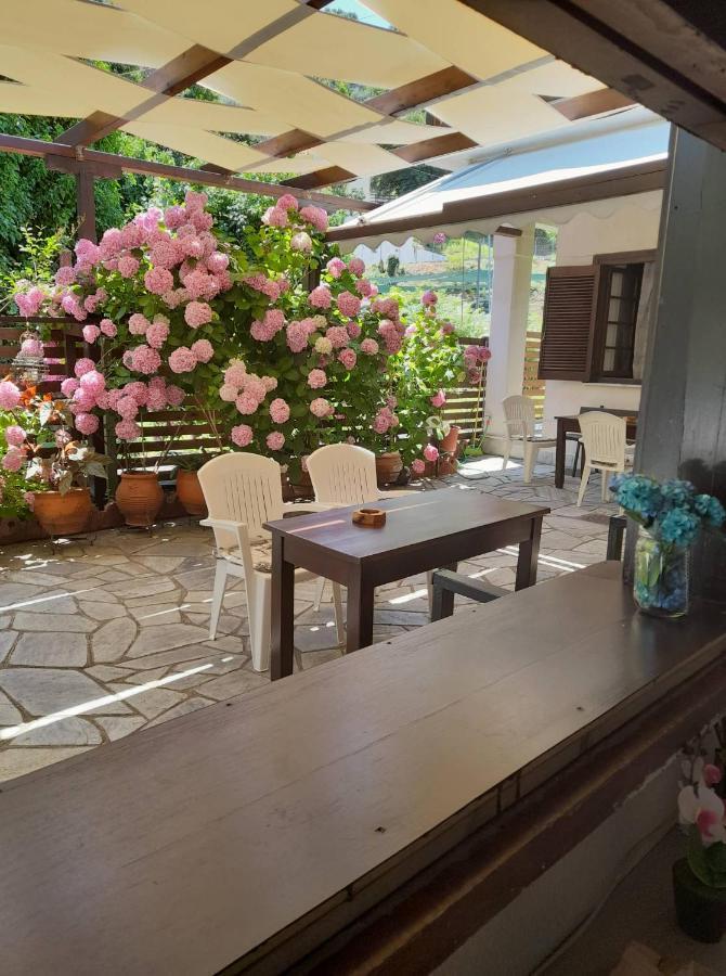 Eleni Studios Agios Ioannis  Экстерьер фото