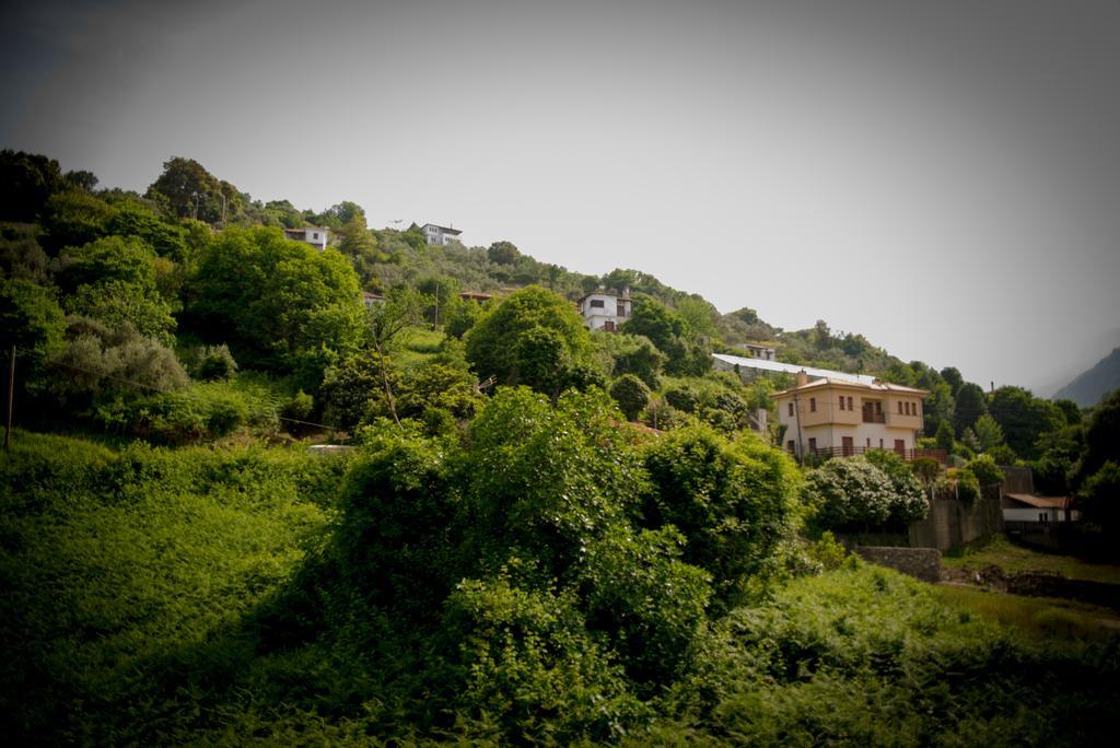 Eleni Studios Agios Ioannis  Экстерьер фото
